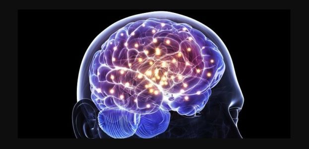 Where to Buy Piracetam Nootropil Alternative in Wallis And Futuna