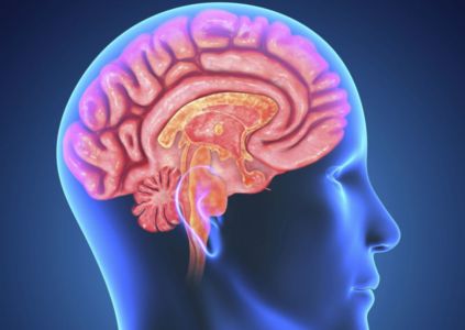 Where Can I Purchase Piracetam Nootropil Alternative in Paracel Islands Where Can I Purchase Piracetam Nootropil Alternative in Paracel Islands