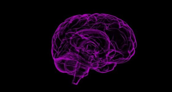 Buy Piracetam Nootropil Alternative in Congo Buy Piracetam Nootropil Alternative in Congo