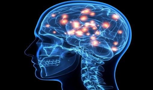 Where to Purchase Piracetam Nootropil Alternative in Saint Kitts And Nevis