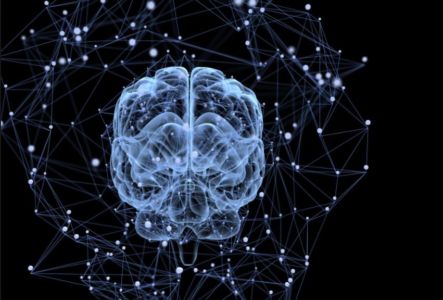 Best Place to Buy Piracetam Nootropil Alternative in Navassa Island Best Place to Buy Piracetam Nootropil Alternative in Navassa Island