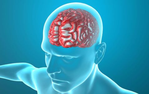 Where to Purchase Piracetam Nootropil Alternative in Coral Sea Islands Where to Purchase Piracetam Nootropil Alternative in Coral Sea Islands