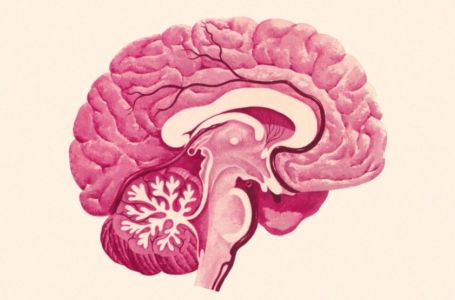 Where Can I Purchase Piracetam Nootropil Alternative in Pune