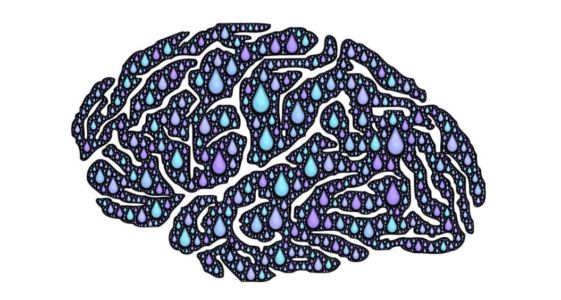 Best Place to Buy Piracetam Nootropil Alternative in Swaziland Best Place to Buy Piracetam Nootropil Alternative in Swaziland